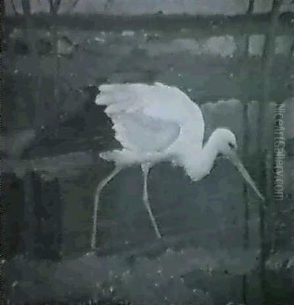 Stork I Karret - view 1