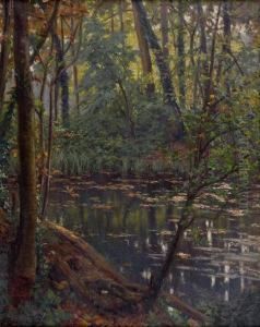 Riviere Dans Un Sous-bois