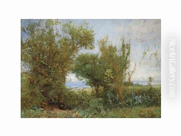 The Grass Of The Field - view 1