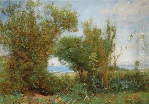 The Grass Of The Field - view 1