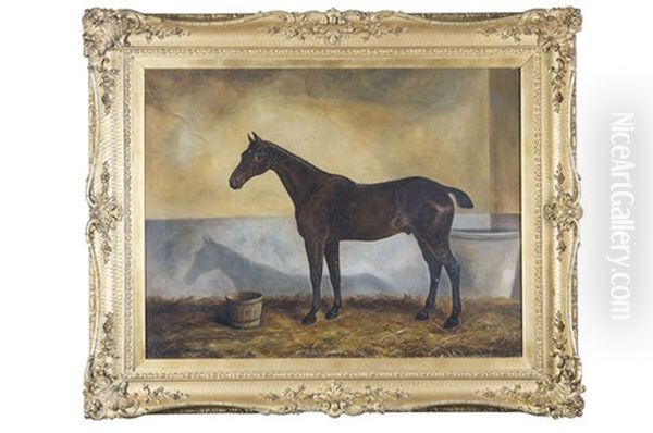 Horse In A Stable - view 1