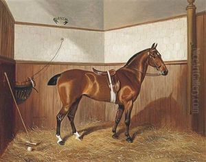 Jessie The Polo Pony by Benjamin Cam Norton