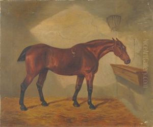 Racehorse In A Loose Box by Benjamin Cam Norton