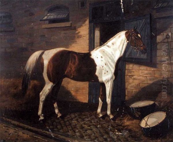 A Skewbald Light Drum Horse By Drums In A Stableyard - view 1