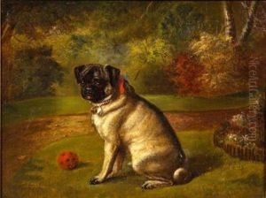 Pug With A Red Ball by Benjamin Cam Norton