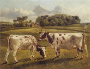 "pinky Ii" And "polly Ii", Two Prize Pedigree Ayrshire Cows In A Spring Landscape by Benjamin Cam Norton