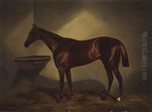A Chestunt Racehorse In A Stable A Chestunt Racehorse In A Stable