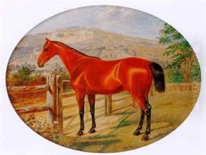 A Chestnut Hunter Standing By A Gate