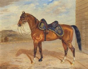 A Horse Of The Ninth Queen's Royal Lancers