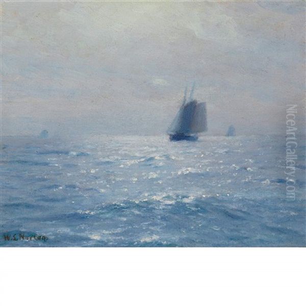 Sundappled Sea - view 1