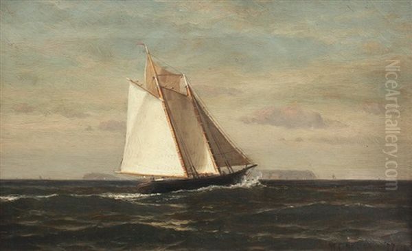 Sailing Off The Main Coast - view 1