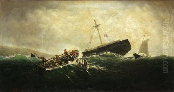 Shipwreck - view 1