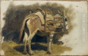 Donkey (study) by William Edward Norton