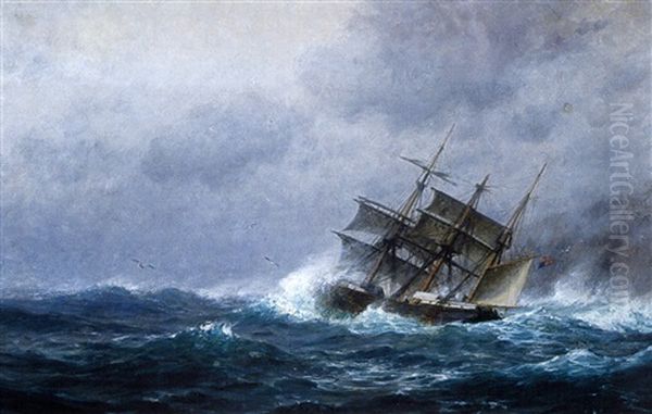 Ship In Dangerous Waters Off The Coast Of Maine - view 1