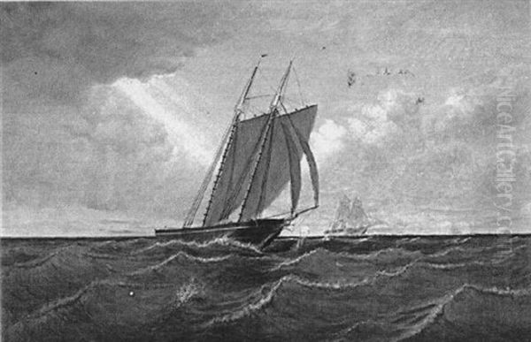 Sailing In Choppy Seas - view 1