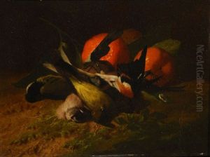 Oiseaux Et Oranges