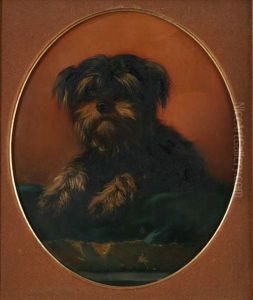 Schnauzer by Emanuel Noterman