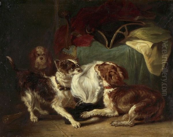 Mit Einer Perucke Spielende Hunde - view 1