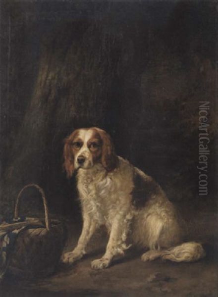 A Red And White Spaniel Seated By A Tree - view 1