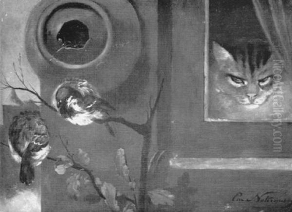 The Watchful Cat - view 1