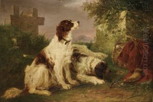 Two Red And White Irish Setter Dogs