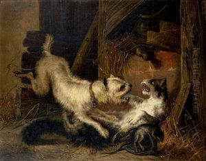 Combat De Chien Et Chat by Zacharias Noterman