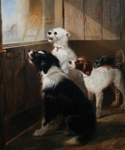 Terriers In A Stable - view 1