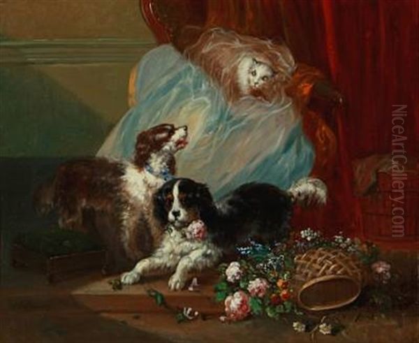 Dogs And A Cat Playing - view 1