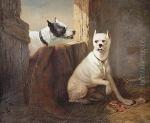 Deux Chiens by Zacharias Noterman
