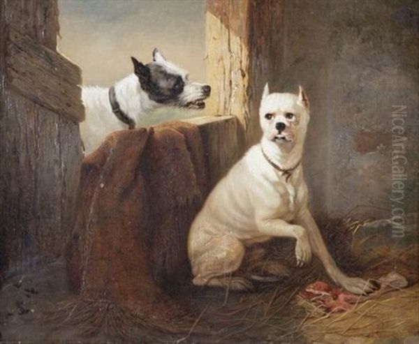 2 Chiens - view 1