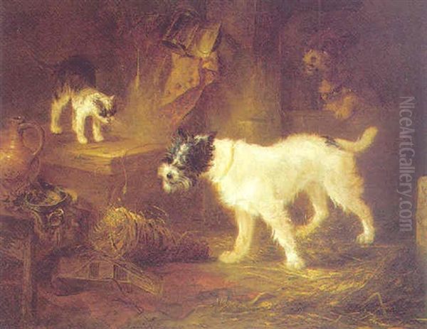 Two Dogs And A Cat - view 1