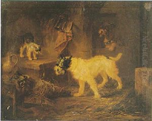 Chiens Et Chat Dans La Grange by Zacharias Noterman