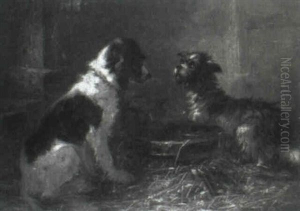 Dogs Beside A Water Tub - view 1