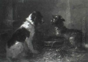 Dogs Beside A Water Tub