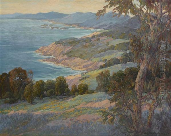 Laguna Coast In Bloom - view 1