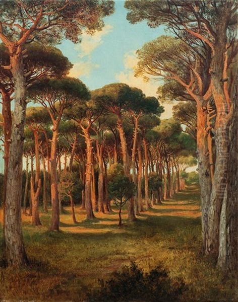 Piniovy Haj - view 1