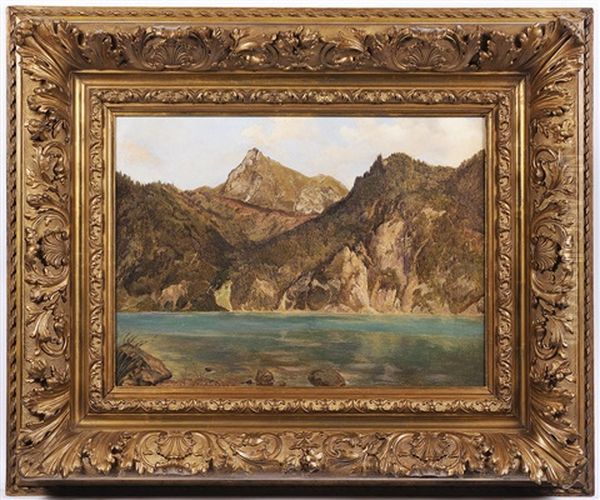 Alpine Landscape - view 1