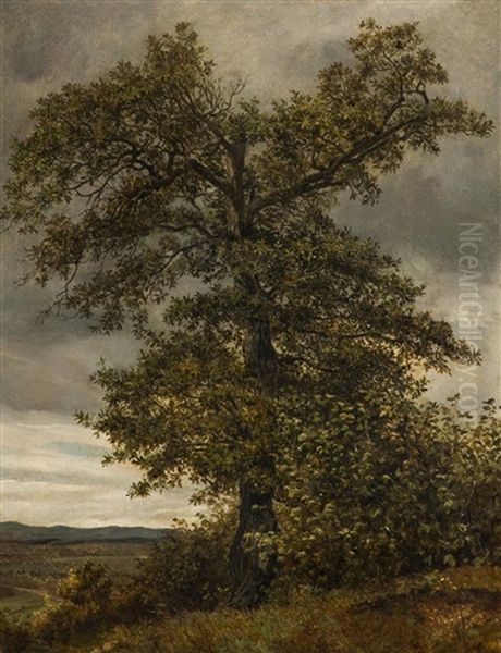 Baum In Der Landschaft - view 1