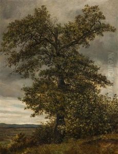 Baum In Der Landschaft thumbnail