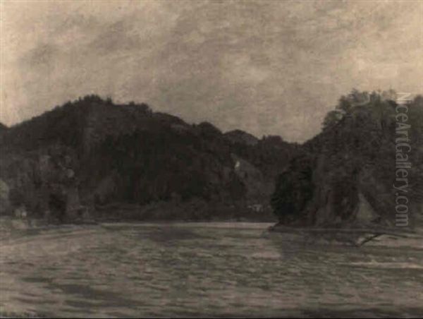 Die Donau Bei Der Insel Worth - view 1