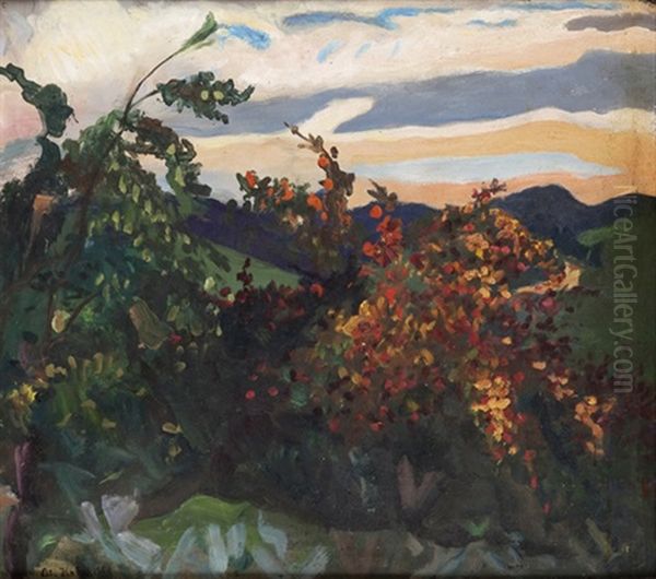 Pejzaz Jesienny - view 1