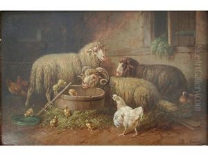 Sheep And Poultry In A Yard