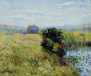Marshes Marshes