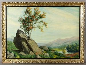 Landscape Landscape