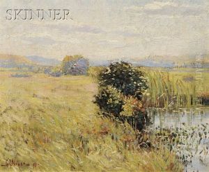 Summer Marsh View