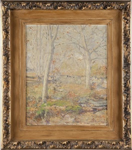 Early Spring - view 1