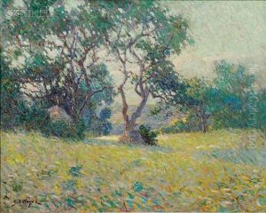 Spring Landscape Spring Landscape