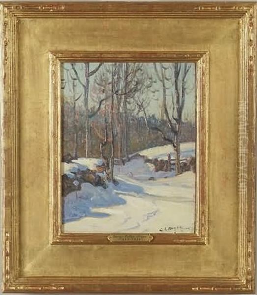 Winter Landscape - view 1