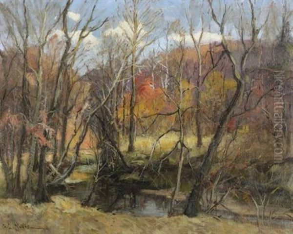 Darby Creek - view 1
