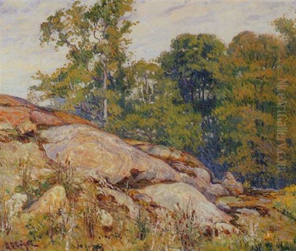 The Rocky Ledge - view 1